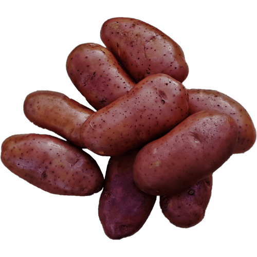 Ziemniaki Gardena